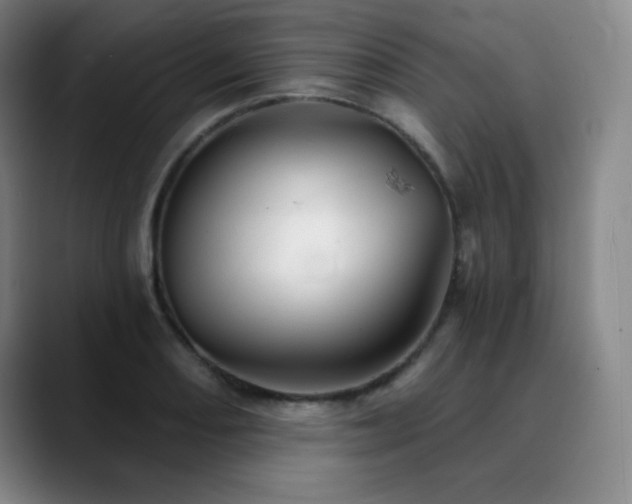 X0000090441082200707131215