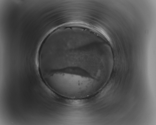 X0000090441084200707131215