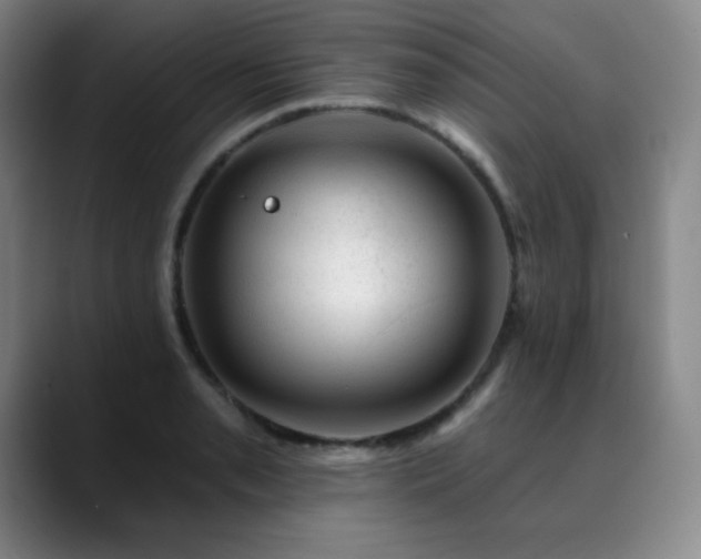 X0000090441085200707131215