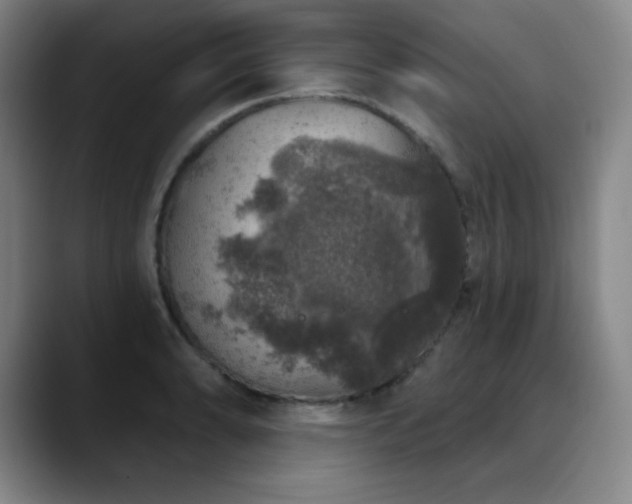 X0000090441086200707131215