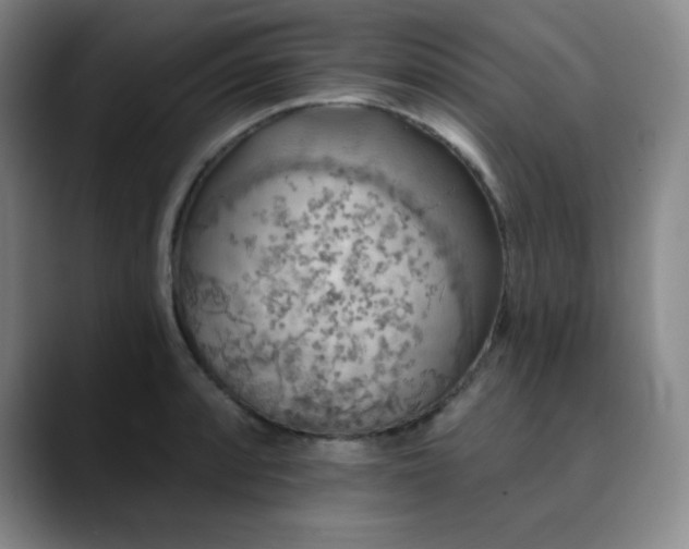 X0000090441088200707131215