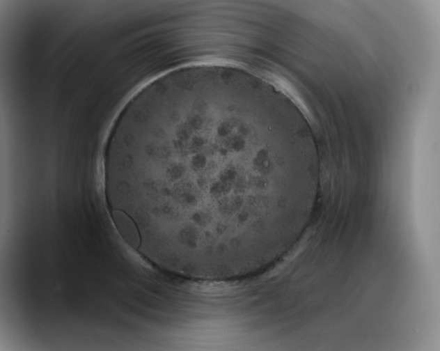 X0000090441092200707131215