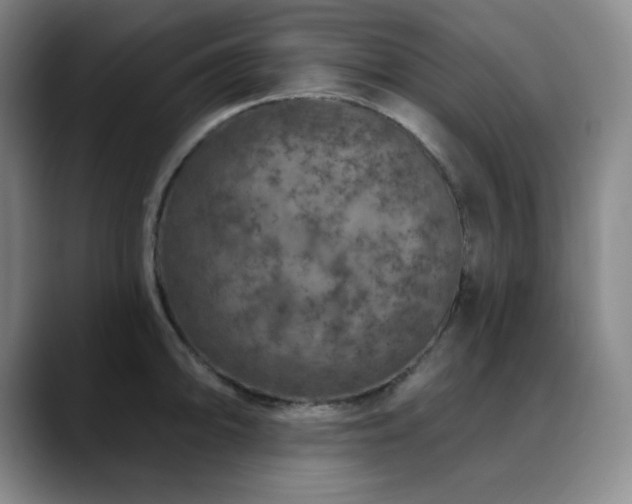 X0000090441094200707131215