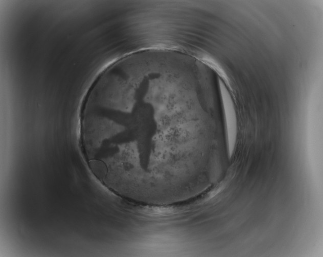 X0000090441095200707131215