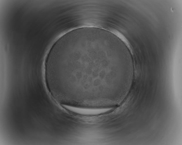 X0000090441096200707131215