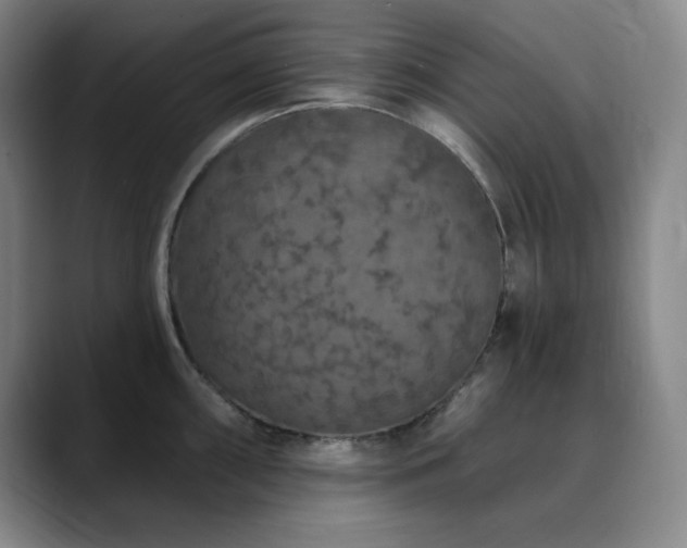 X0000090441098200707131215