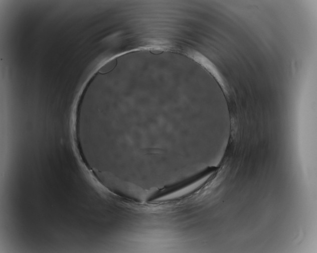 X0000090441099200707131215