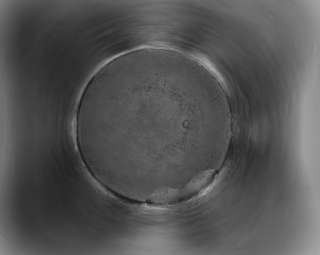 X0000090441100200707131215