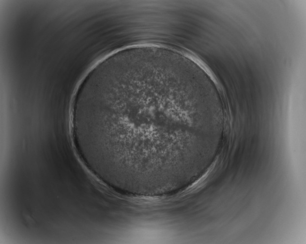 X0000090441101200707131215