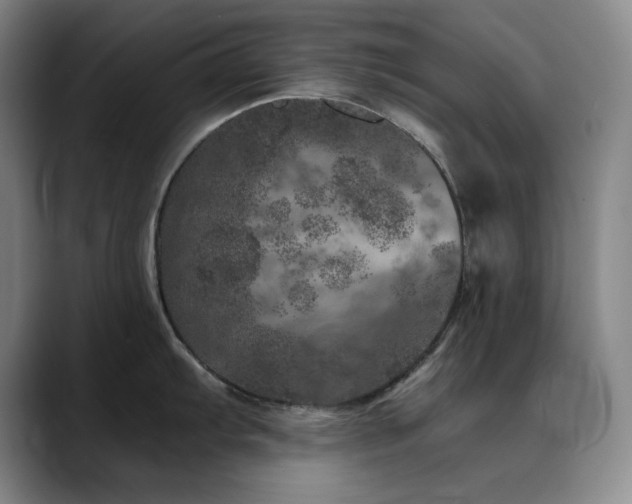 X0000090441103200707131215