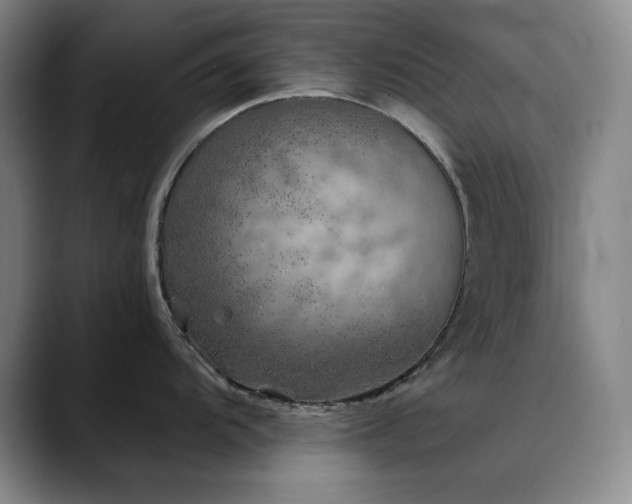 X0000090441104200707131215