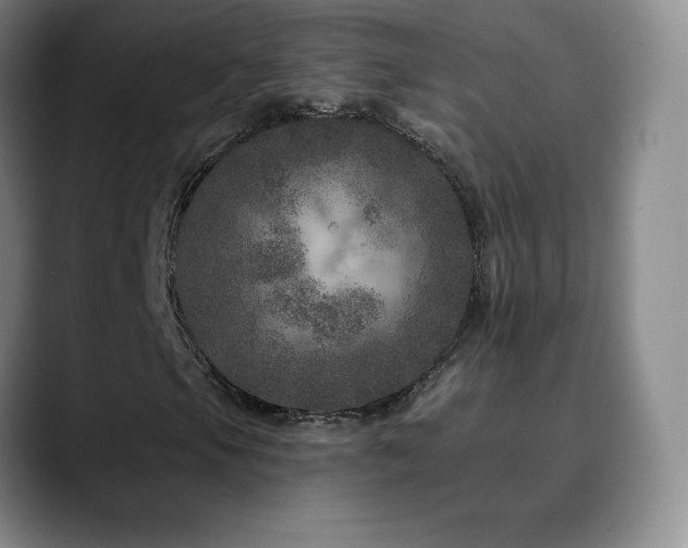 X0000090441105200707131214