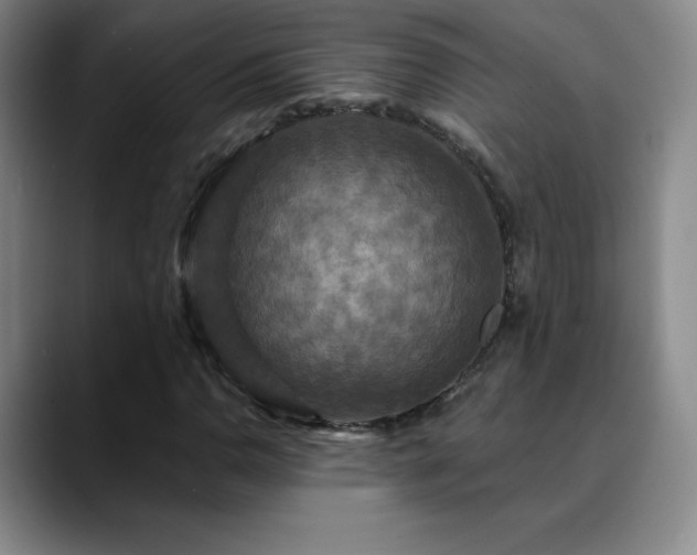 X0000090441110200707131214