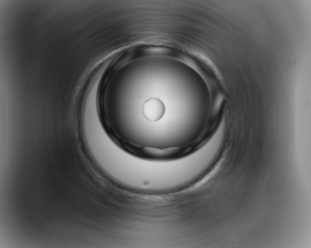 X0000090441114200707131214