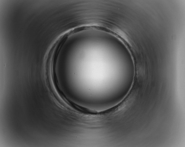 X0000090441116200707131214