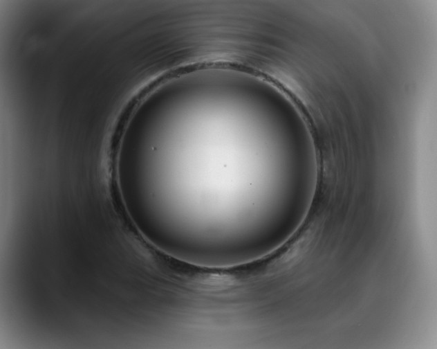 X0000090441119200707131214
