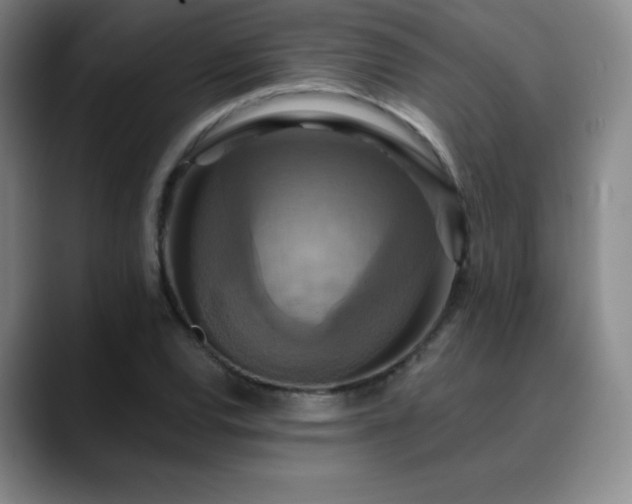 X0000090441120200707131214