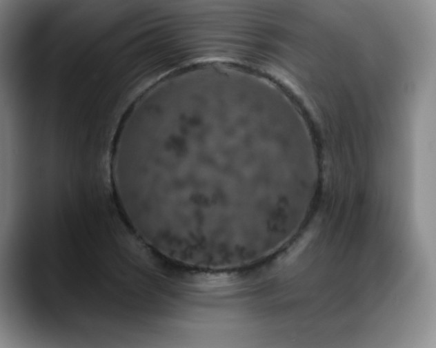 X0000090441121200707131215