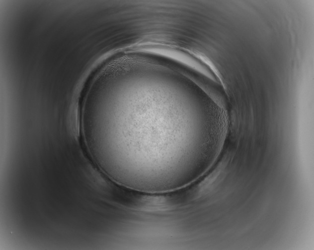 X0000090441123200707131215