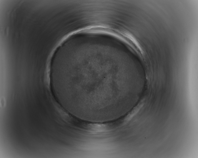 X0000090441124200707131215