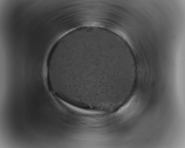 X0000090441125200707131215