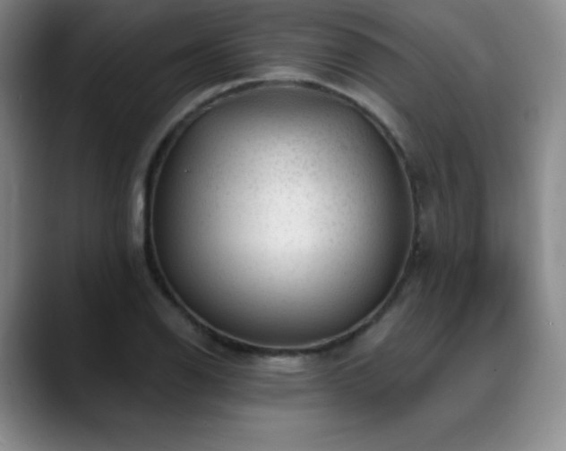 X0000090441126200707131215