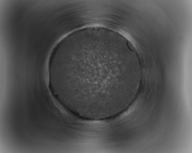 X0000090441127200707131215