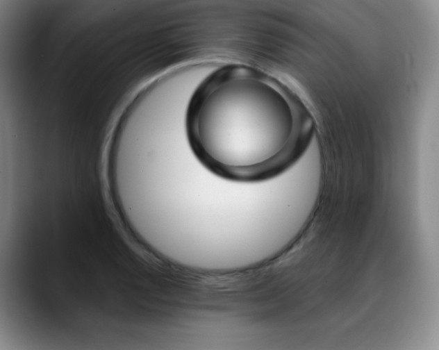 X0000090441128200707131215