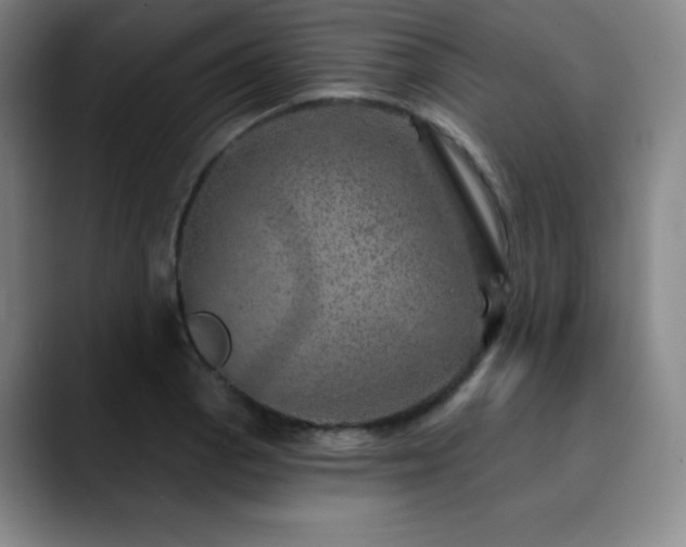 X0000090441129200707131215