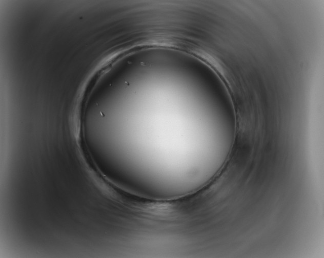 X0000090441131200707131215