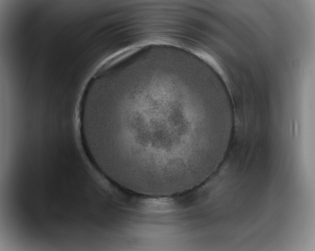 X0000090441133200707131215