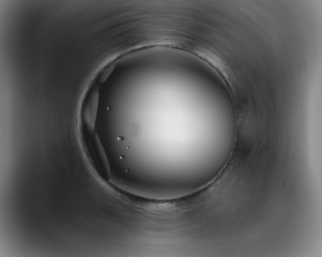 X0000090441135200707131215