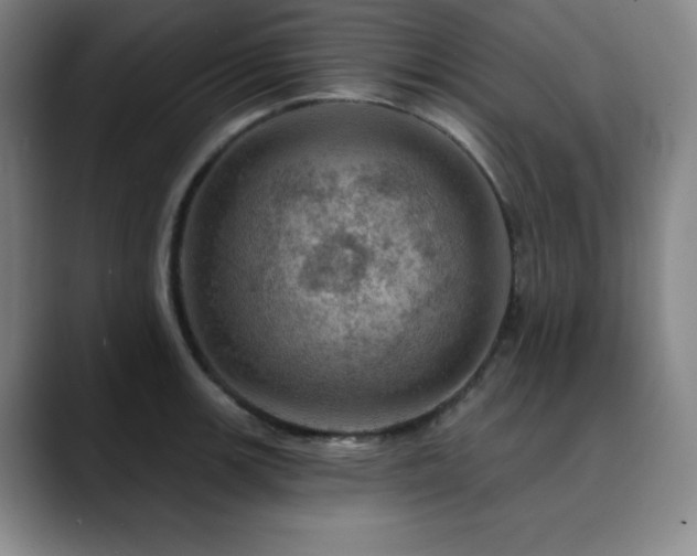X0000090441139200707131215