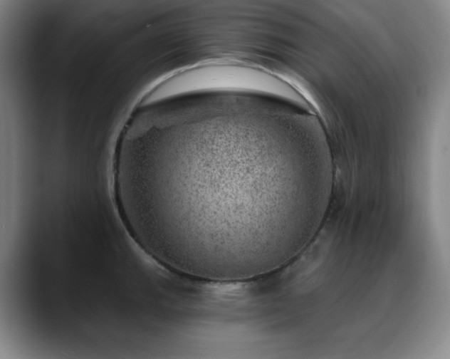 X0000090441143200707131215