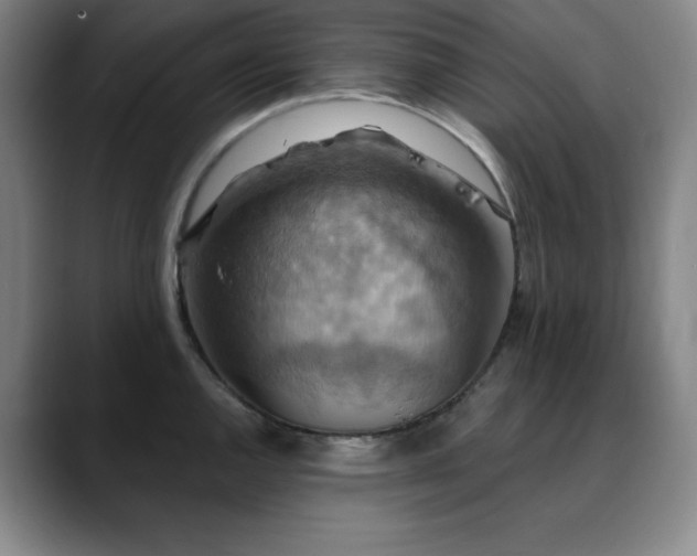 X0000090441144200707131215