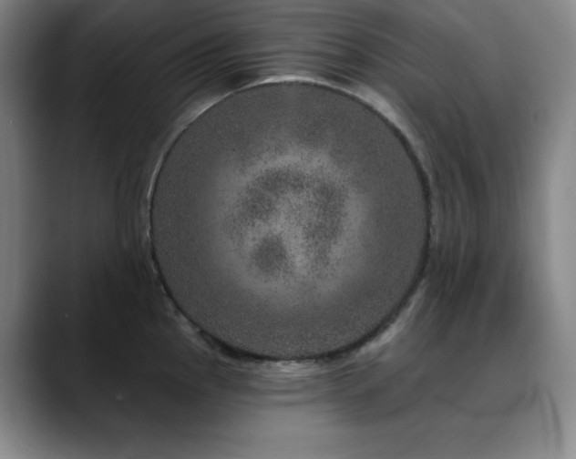 X0000090441145200707131215