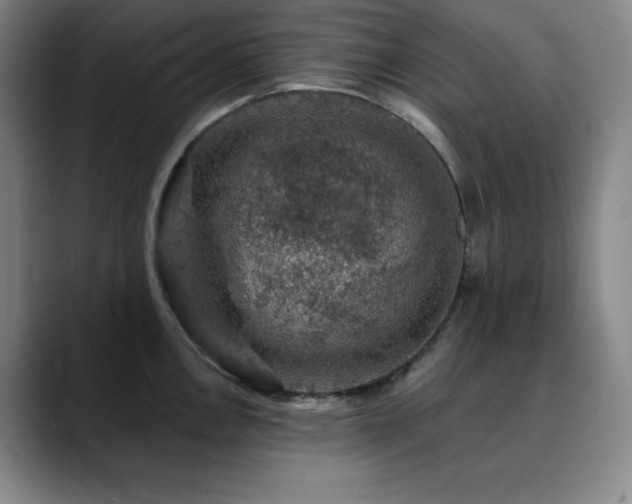X0000090441146200707131215