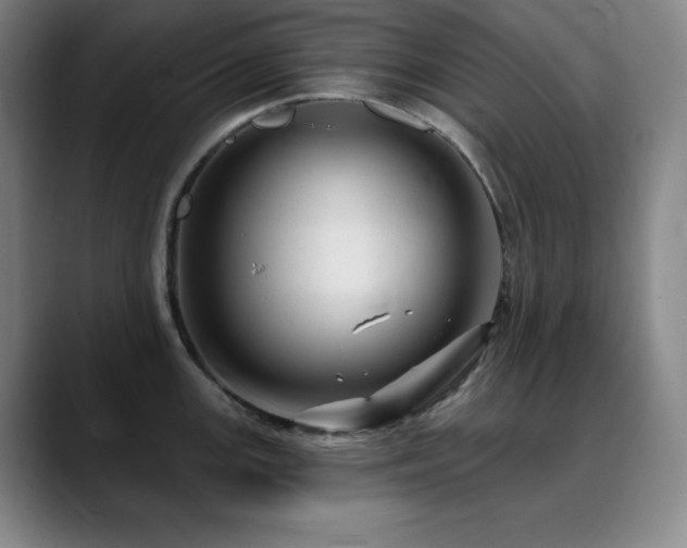 X0000090441147200707131215