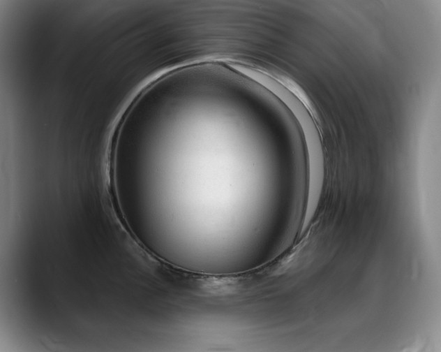 X0000090441148200707131215