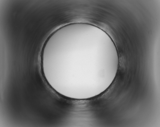 X0000090441150200707131215