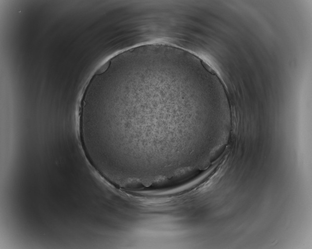 X0000090441151200707131215