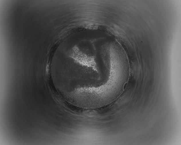X0000090441154200707131214