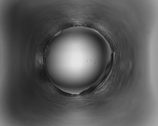 X0000090441155200707131214