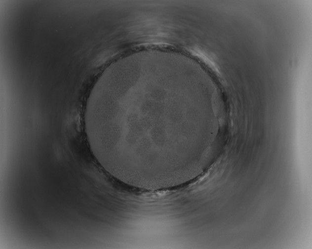 X0000090441159200707131214