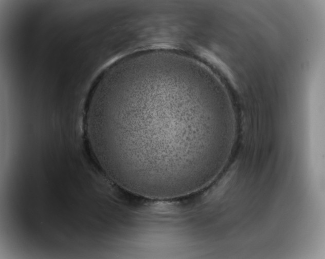 X0000090441166200707131214