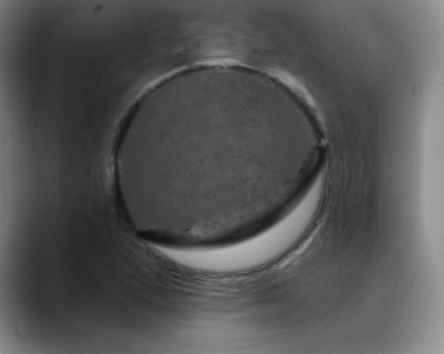 X0000090441167200707131214