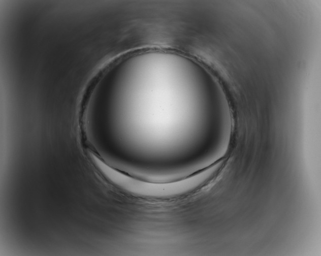 X0000090441168200707131214