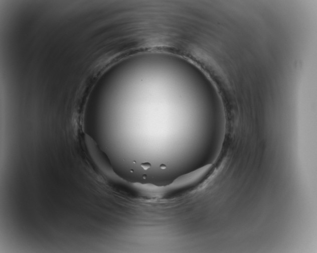 X0000090441169200707131214