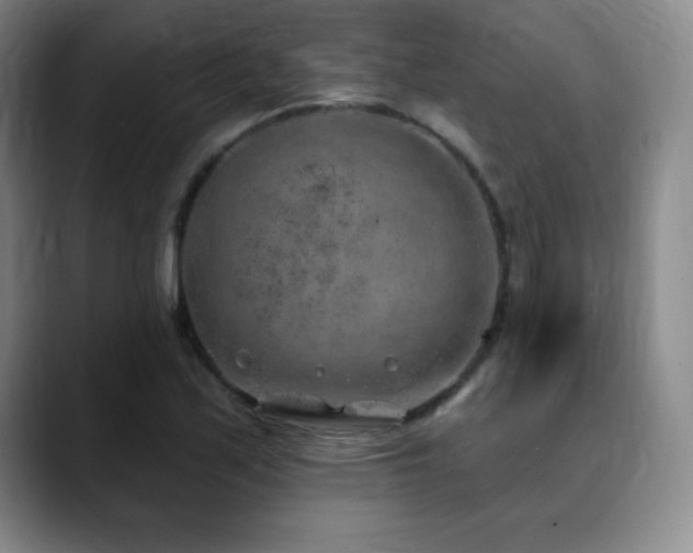 X0000090441171200707131214