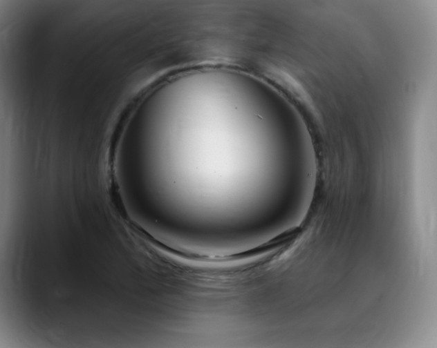 X0000090441172200707131214